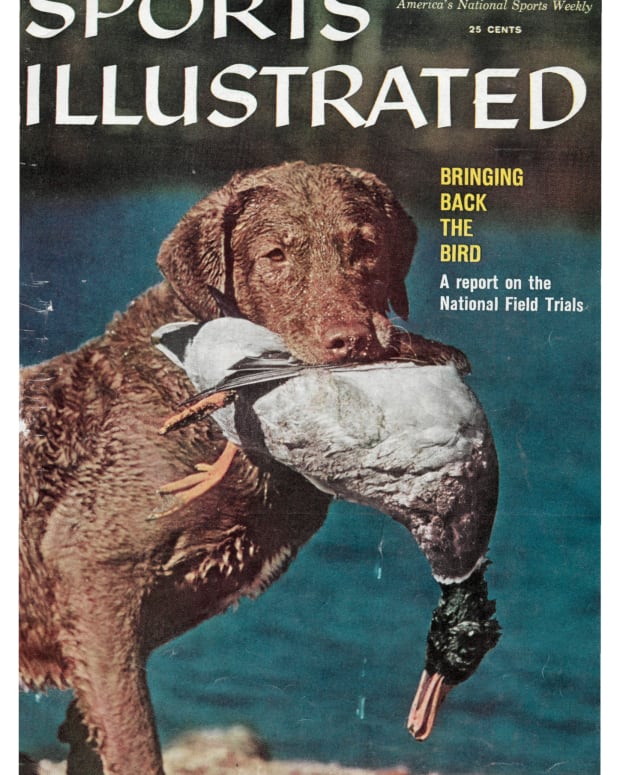 42497 - Cover Image